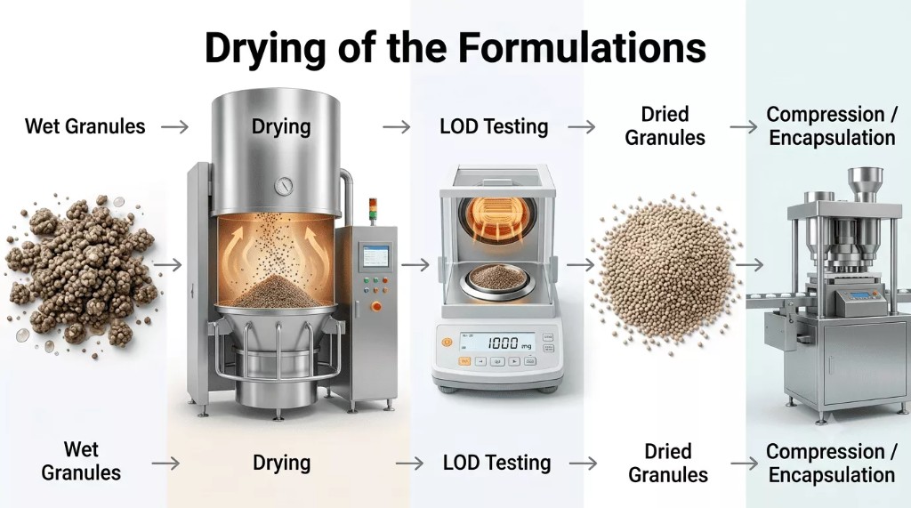 Drying process flow from wet granules through fluid bed drying and LOD testing to compression